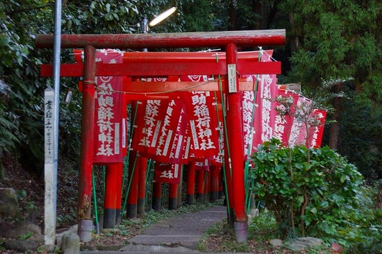 鎌倉・佐助稲荷