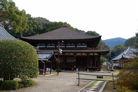 法界寺阿弥陀堂屋根