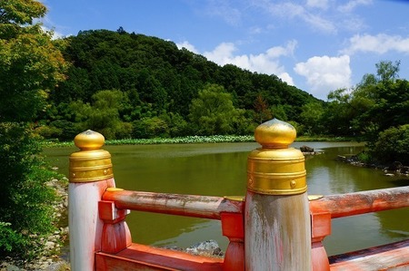 白水阿弥陀堂浄土庭園