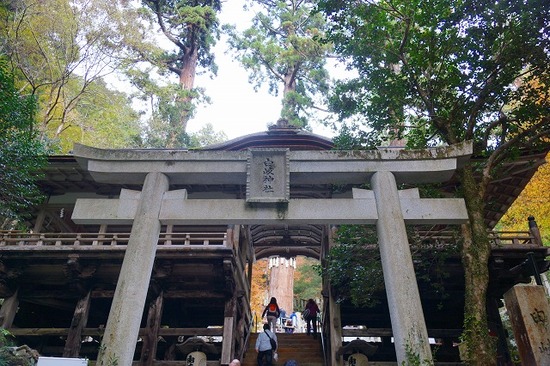鳥居の写真